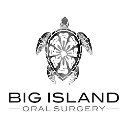 BIG ISLAND ORAL SURGERY logo