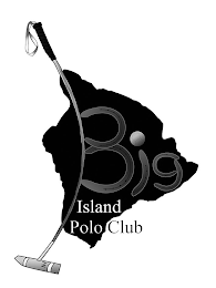 BIG ISLAND POLO CLUB HI logo