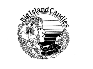 BIG ISLANDS CANDIES logo