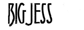 BIG JESS logo