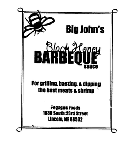 BIG JOHN'S BLACK HONEY BARBEQUE SAUCE FOR GRILLING, BASTING & DIPPING THE BEST MEATS & SHRIMP logo