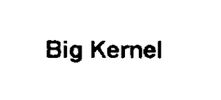 BIG KERNEL logo
