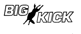 BIG KICK logo