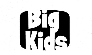 BIG KIDS logo