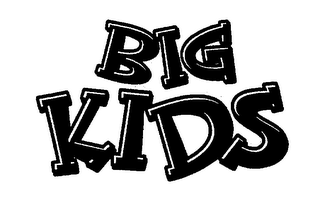 BIG KIDS logo