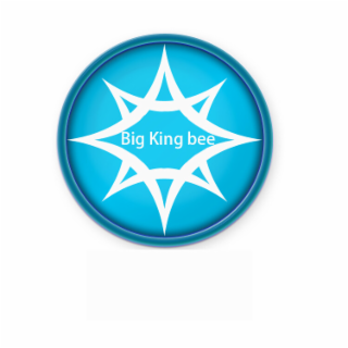 BIG KING BEE logo