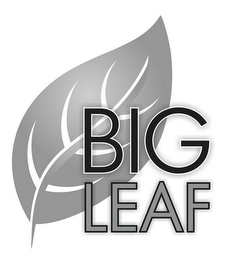 BIG LEAF logo