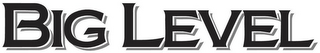 BIG LEVEL logo