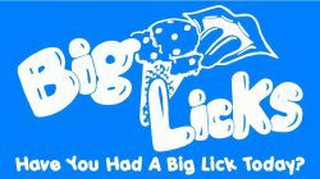 BIG LICKS HAVE YOU HAD A BIG LICK TODAY? logo