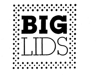 BIG LIDS logo