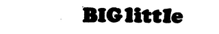 BIG LITTLE logo