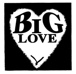BIG LOVE logo
