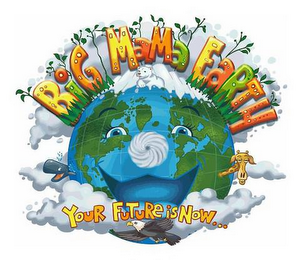 BIG MAMA EARTH YOUR FUTURE IS NOW ... logo