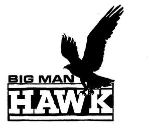 BIG MAN HAWK logo