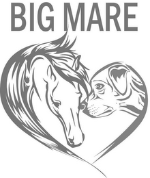 BIG MARE logo