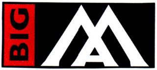 BIG MAX logo
