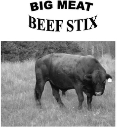 BIG MEAT BEEF STIX logo