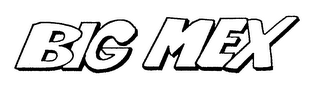 BIG MEX logo