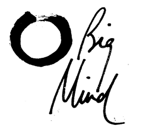 BIG MIND logo