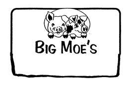 BIG MOE'S logo