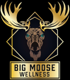 BIG MOOSE WELLNESS logo