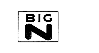 BIG N logo