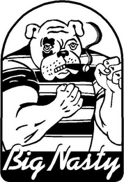 BIG NASTY logo
