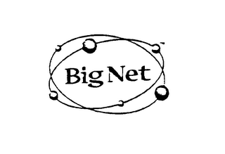 BIG NET logo