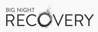BIG NIGHT RECOVERY logo