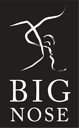 BIG NOSE logo