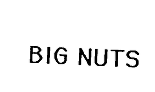 BIG NUTS logo