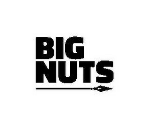 BIG NUTS logo