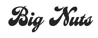 BIG NUTS logo