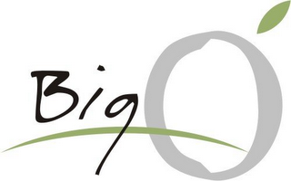 BIG O logo
