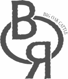 BIG OAK CATTLE B O R