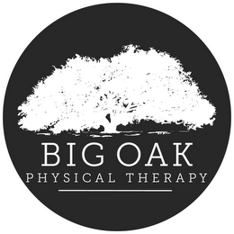 BIG OAK PHYSICAL THERAPY logo