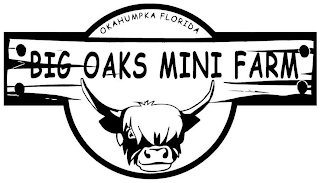 BIG OAKS MINI FARM OKAHUMPKA FLORIDA logo
