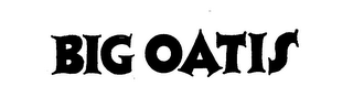 BIG OATIS logo