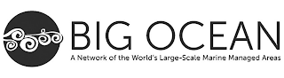 BIG OCEAN logo