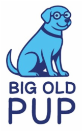 BIG OLD PUP logo