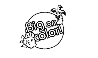 BIG ON COLOR! logo