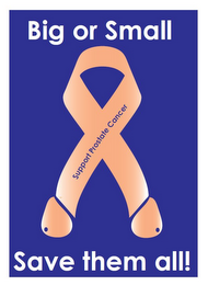 BIG OR SMALL SAVE THEM ALL! SUPPORT PROSTATE CANCER logo