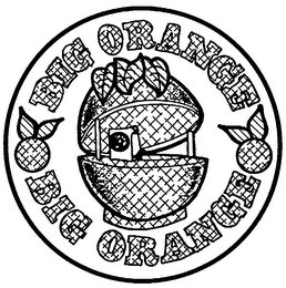 BIG ORANGE logo