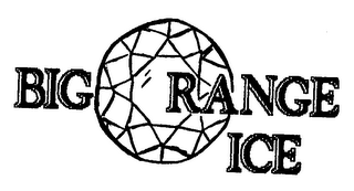BIG ORANGE ICE logo