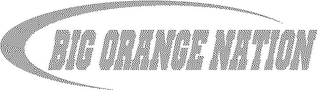 BIG ORANGE NATION logo