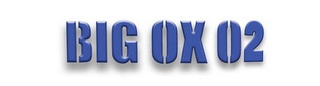 BIG OX O2 logo