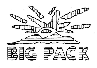 BIG PACK logo