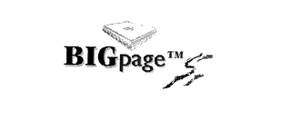 BIG PAGE logo