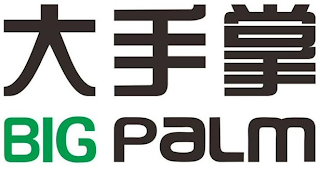 BIG PALM logo