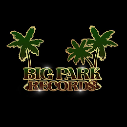 BIG PARK RECORDS logo